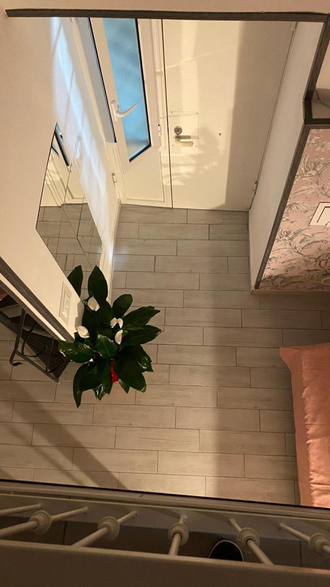 Appartement House Sasymary